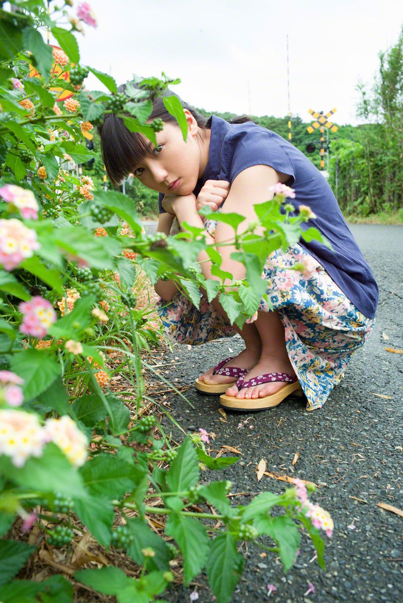 池中莲